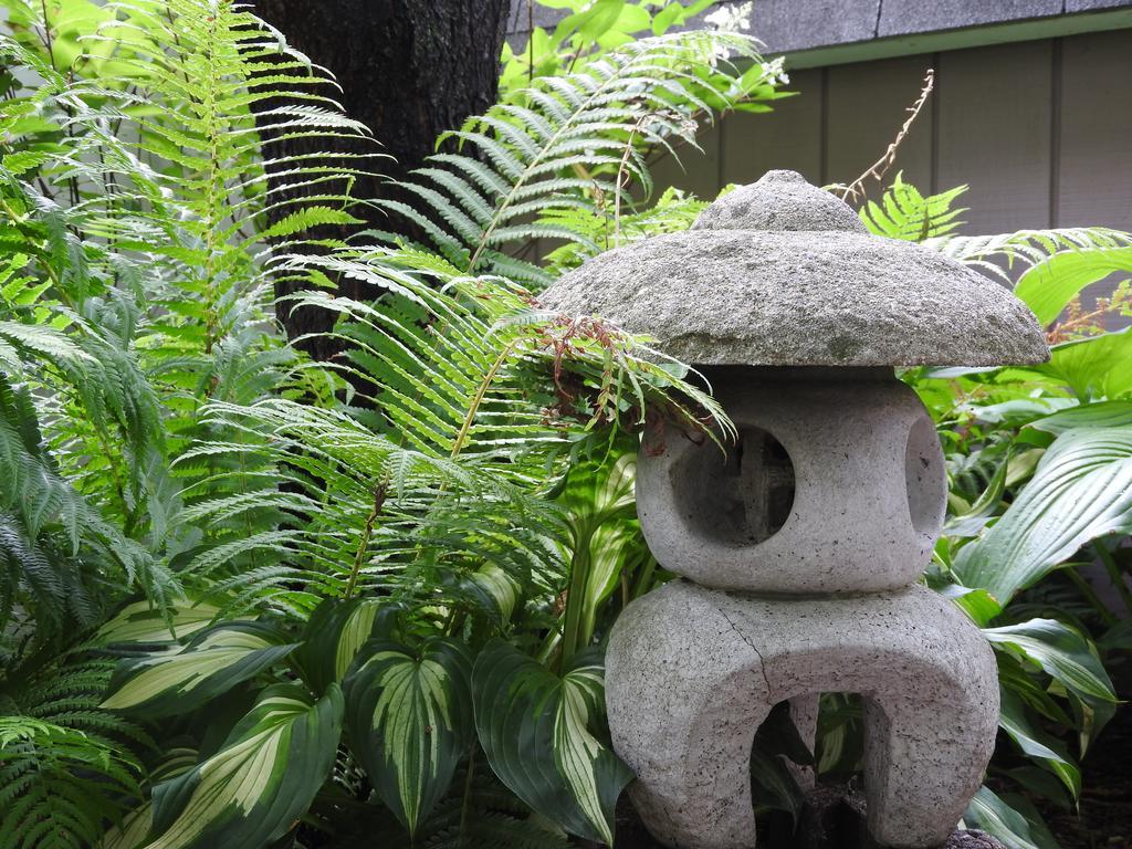 Garden Bed and breakfast 3*