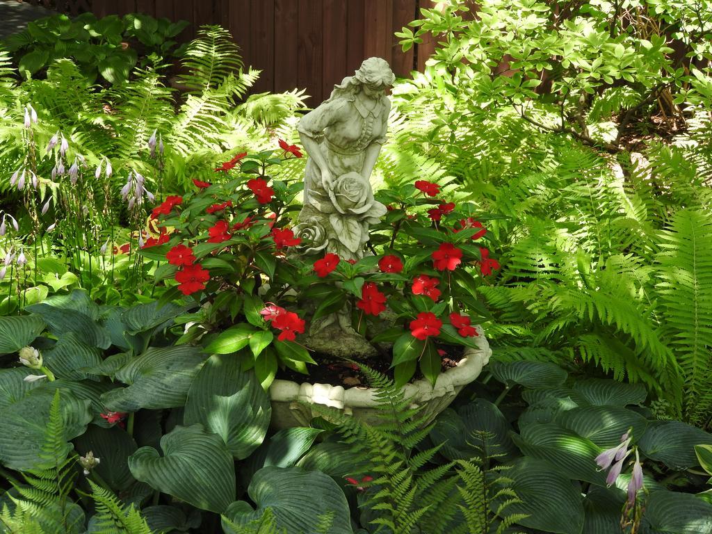 Garden Bed and breakfast