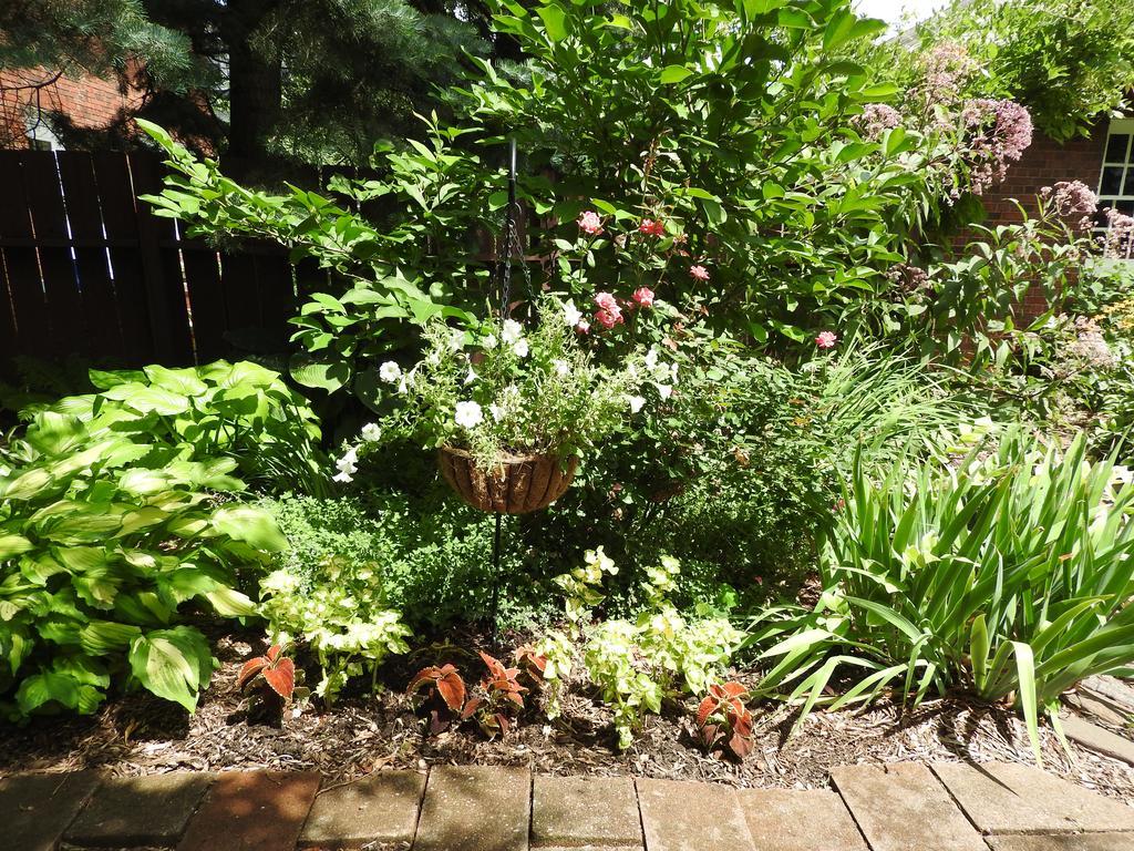 Bed and breakfast Garden 3*