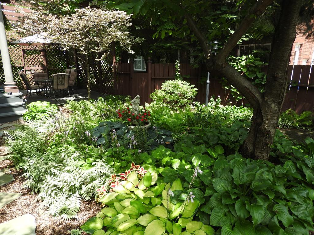 Garden 3*