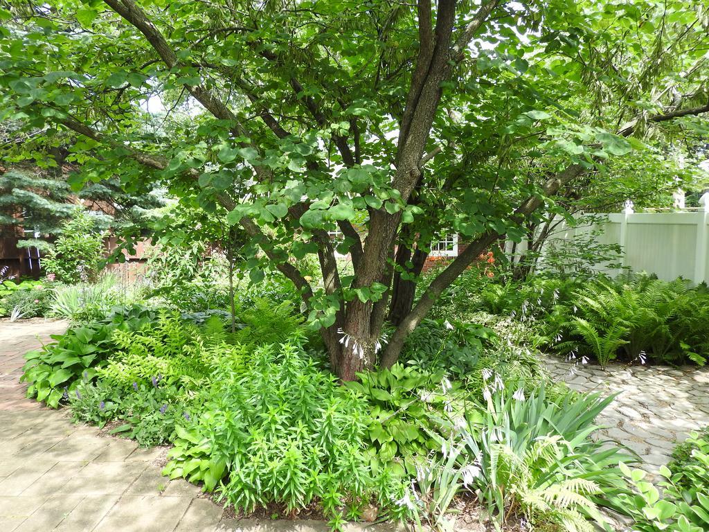 Garden Bed and breakfast