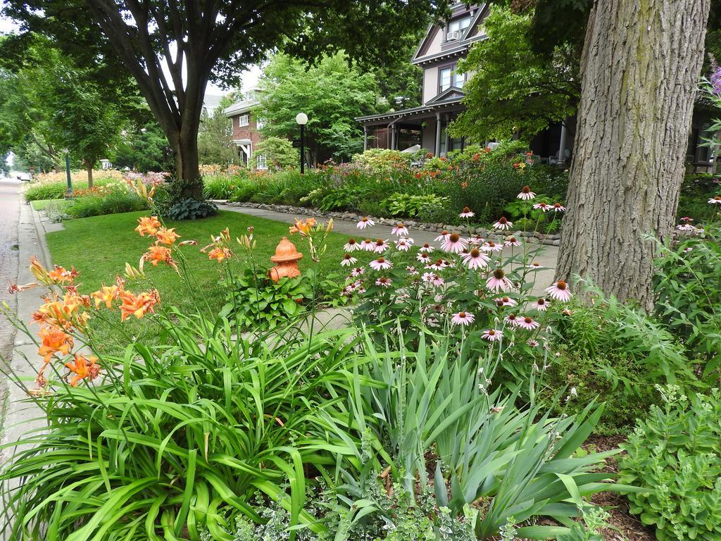 Garden 3*