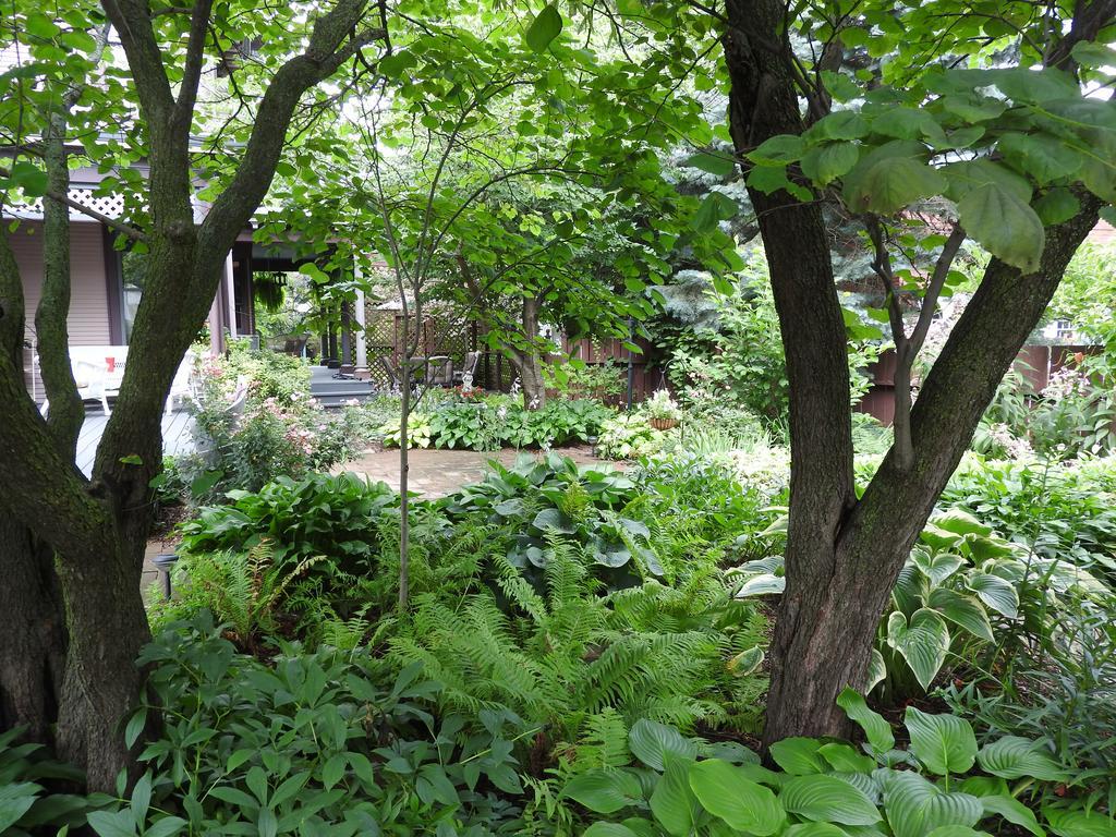 Frühstückspension Garden 3*