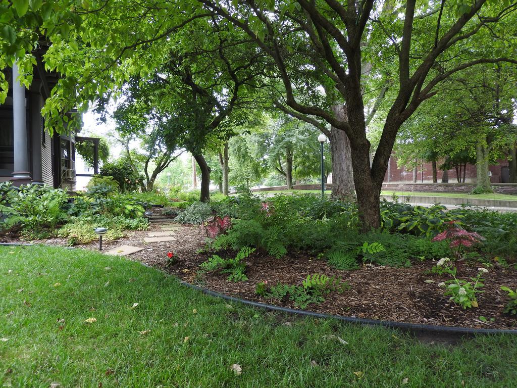 Garden 3* Champaign